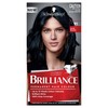 Schwarzkopf Brilliance, Permanent Hair Colour, 91 Blue Black
