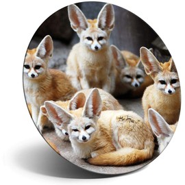 Destination Vinyl ltd Magnet for Refrigerator, Fridge - Cute Fennec Fox Pack Foxes for Office, Cabinet and Whiteboard, Magnetic Stickers, 44773