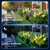 TANSOREN 4 Pack Solar Garden Lights Outdoor, 2 Lighting Modes