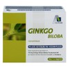 Ginkgo 100 mg Capsules + B1 + C + E