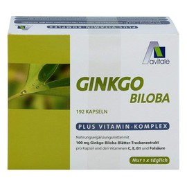 Ginkgo 100 mg Capsules + B1 + C + E Pack of 192