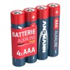 Ansmann Alkaline Battery Battery, (5015553)