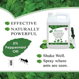 Puremint Ant Killer - Natural Peppermint Essential Oil Spray for Bugs, Ants and Insects - Safe for Indoor & Outdoor Use Repellent Spray 128 Fl Oz Gallon Trigger Sprayer, 128 fl oz