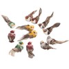 12Pcs Simulation Foam Bird Artificial Bird Decor with Clip Fixing