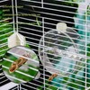 RSHuiOUXX 250ml Automatic Bird Water Dispenser with Touch Needle Mechanism