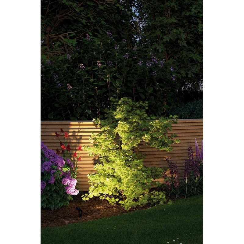 Paulmann Outdoor Light