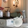 Westmark Stainless Steel Spoon / Ginger Grater