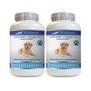 PET SUPPLEMENTS & NUTRITION LLC Immune Dog Supplement - Advanced