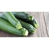CEMEHA SEEDS - Seeds Green Zucchini Courgette Squash Tsukesha Non