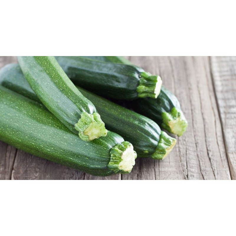 CEMEHA SEEDS - Seeds Green Zucchini Courgette Squash Tsukesha Non