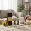 Bluelander Set de 6 Aceites Aromáticos para Difusor, Set de