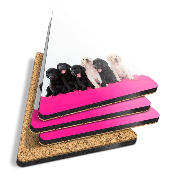 4 x Triangle Coasters - Labrador Puppies Puppy Dog Cork