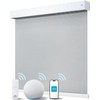 JaeJaes Smart Roller Shades for Windows, Alexa Motorized Blackout Blinds