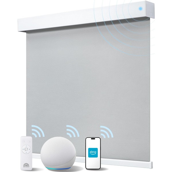 JaeJaes Smart Roller Shades for Windows, Alexa Motorized Blackout Blinds
