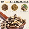 LeafLea 40 Dandelion Root Tea Bags, Dandelion Tea Supports Wellness