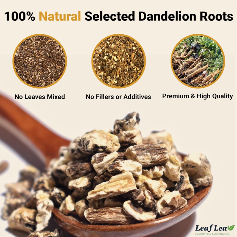 LeafLea 40 Dandelion Root Tea Bags, Dandelion Tea Supports Wellness