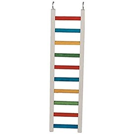Paradise Toys 24-Inch Wood Parrot Ladder