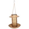 Hanging Bird Feeder Solar Powered Light Hollow Design Sturdy Stable