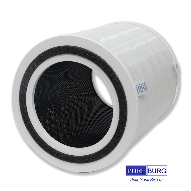 PUREBURG Replacement Filter Set Compatible with DH Lifelabs Aaira HEPA