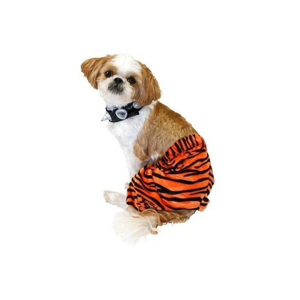 Pet Costume - Punk Rocker - Orange Zebra (X-LARGE)