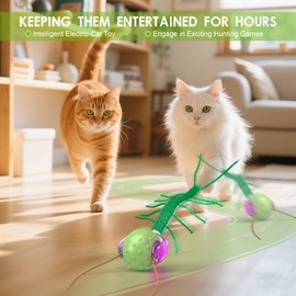 FLERDMAU Interaktives KatzenspielzeugSelbstbeschäftigung Elektrisch