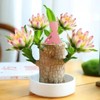 Brazilian lucky tree, with doll and plastic tray, Easy to