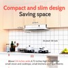FIREGAS 24 inch Range Hood, 300CFM Ducted/Ductless Convertible Under Cabinet