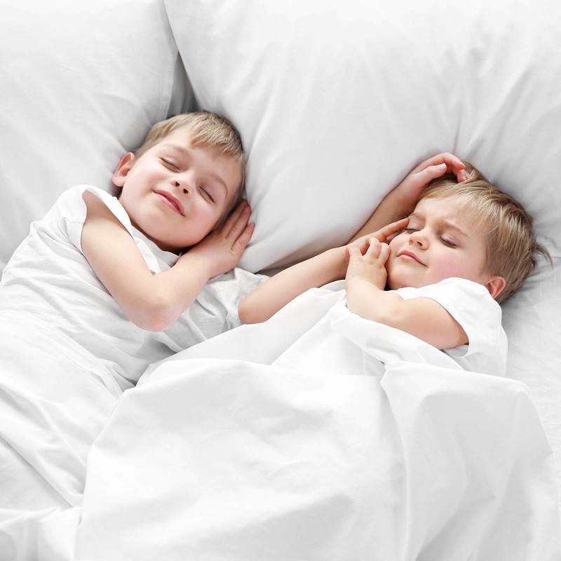 Waterproof Body Pillow Cover, Body Pillow Size Protectors Zippered Pillow