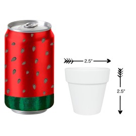 My Urban Crafts 40 Pcs White Terra Cotta Pots 2.5 inch Small Succulent Pots White Ceramic Pots White Terracotta Flower Pots for Succulents Cactus Display, Crafts, Wedding Favors (Matte White Bisque)