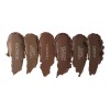 Pomada De Cejas Definer Gel Beauty Creations 6 Tonos Color