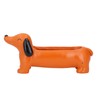 Dachshund Succulent Pot Adorable Efficient Drainage Versatile Lightweight Resin Dog
