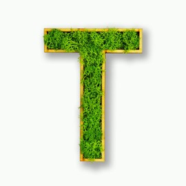 Acryltypo Moosly® Wooden Letter - T - with Wooden Frame, Moss Decorative Letters Sign Symbol Number - Wooden Letter with Real Iceland Moss - Wall Pictures Living Room Decoration Wall Pictures Living