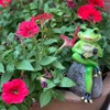 OwMell Frog Statue for Garden, Drinking Coffee Green Frog Figurine