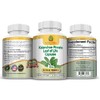 Nature Herbal Life Kalanchoe Pinnata-Leaf of Life-Cathedral Bells 750mg Vegetarian