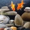 YISZM Natural River Rocks, Small Rocks for Plants Decorative Polished
