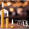 Eika Premium 100% Beeswax Tree Candles - Pack of 20