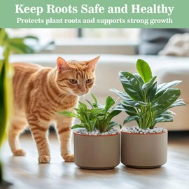 Sukh White Pebbles for Indoor Plants - 1/5 Inch Natural Decorative White Rocks,Polished River Stones,Small Pebbles for Succulent and Cactus,Outdoor Gardening,Vases,Landscaping,Fish Tank