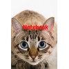 Notebook: Cat (Diary, Notebook)