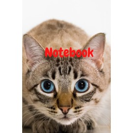 Notebook: Cat (Diary, Notebook)
