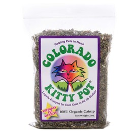 Colorado Kitty Pot Catnip