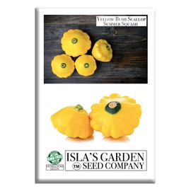 Yellow Bush Scallop Summer Squash Seeds (Pattypan, Cucurbita pepo var. clypeata) – 30+ Non GMO Heirloom Seeds by Isla’s Garden Seeds, Ideal for Compact Garden Growing, Excellent Kitchen Use, Gift Idea