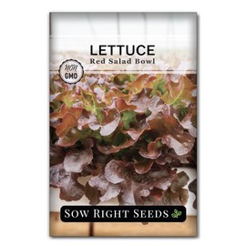 Sow Right Seeds - Red Salad Bowl Lettuce Seeds for Planting - Non-GMO Heirloom Packet with Instructions to Plant a Home Vegetable Garden - Outdoors or Hydroponics Indoors - Frilly and Tasty (1)