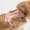 Wild One Harness 2.0 - Extra Small - Blush