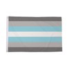 Demiboy Flag 5 x 3 FT - 100% Polyester With