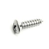 Retro-Motive Chrome #10 x 3/4" Phillips Oval Head Trim Screws