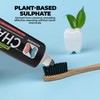 Activated Charcoal Whitening Toothpaste, Fluoride-Free, Enamel-Safe, Natural Mint Flavor, 6.5oz