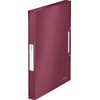 Leitz 39560028 Box File, Holds up to 250 A4 Sheets,