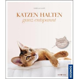 Katzen halten, ganz entspannt: Wohlfühlideen für jeden Tag