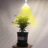 E27 10W 290LED Chip Garden Greenhouse Plants Growing Light for