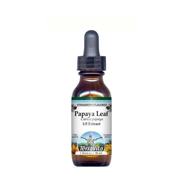 Papaya Leaf Glycerite Liquid Extract (1:5) - Strawberry Flavored (1